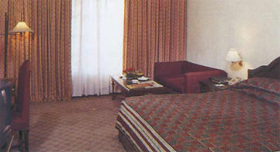 Holiday Inn Jaipur 3