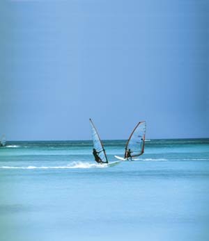 Divi Aruba Beach Resort Mega 14
