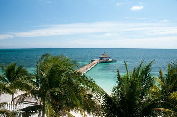 Ceiba Del Mar Beach & Spa Resort 15