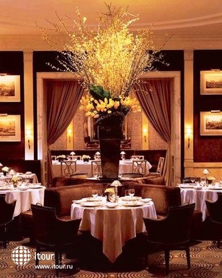The Carlyle, A Rosewood Hotel 6