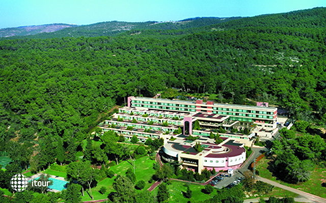 Carmel Forest Spa Resort  8