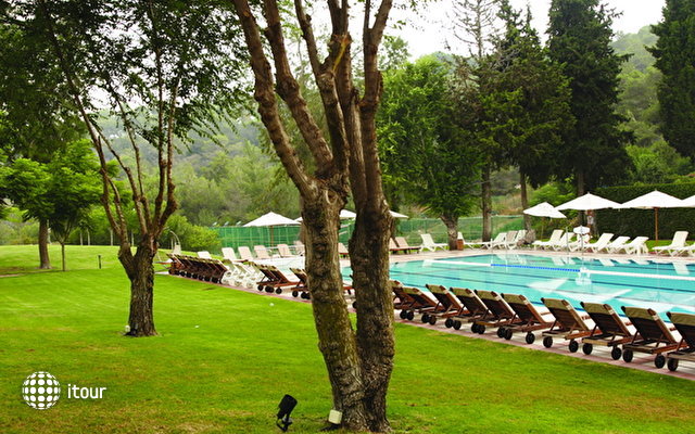 Carmel Forest Spa Resort  10