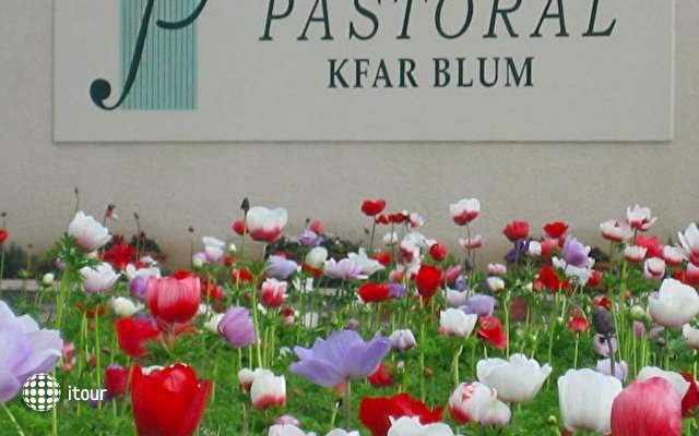 Kfar Blum Pastoral Hotel 8