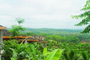 Paradise Rainforest Spa & Resort 11