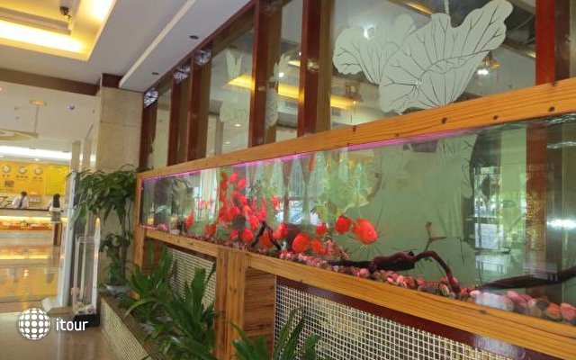 Long Quan Zhi Xing Hotel 9