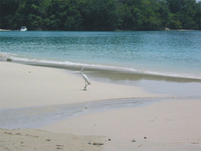 Contadora Beach Resort  7