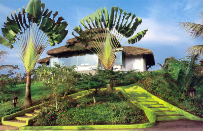 Arasha Ecuador’s Tropical Forest Resort & Spa 9