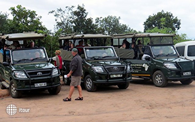 Nkambeni Safari Camp 6