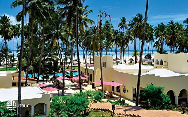 Dream Of Zanzibar 5