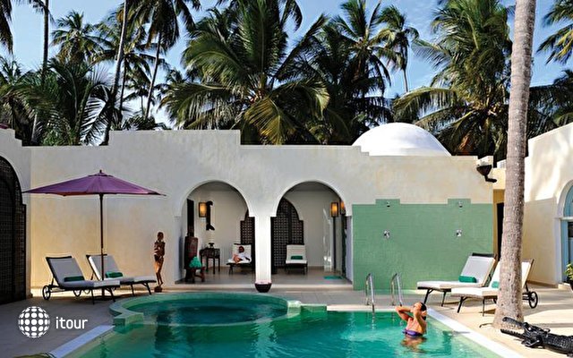 Dream Of Zanzibar 8