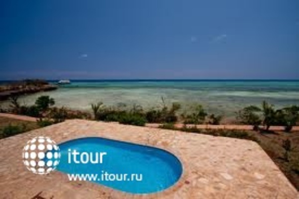 Zanzibar Dolphin View Paradise Resort & Spa 8
