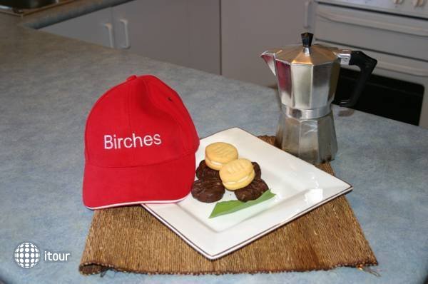 Birches Serviced Apartments 3
