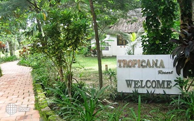 Tropicana Resort 21