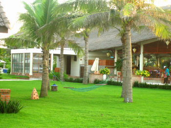 Palm Garden 3