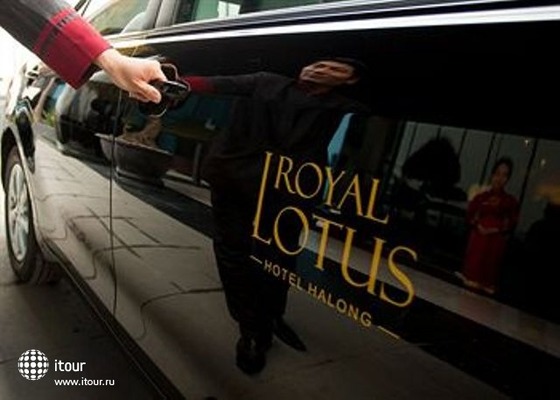 Royal Lotus 15
